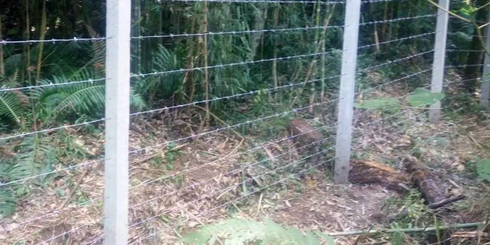 Construção de cerca de arame farpado - foto 7