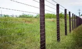 Construção de cerca de arame farpado - foto 9