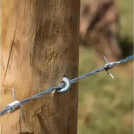 Construção de cerca de arame farpado - foto 3