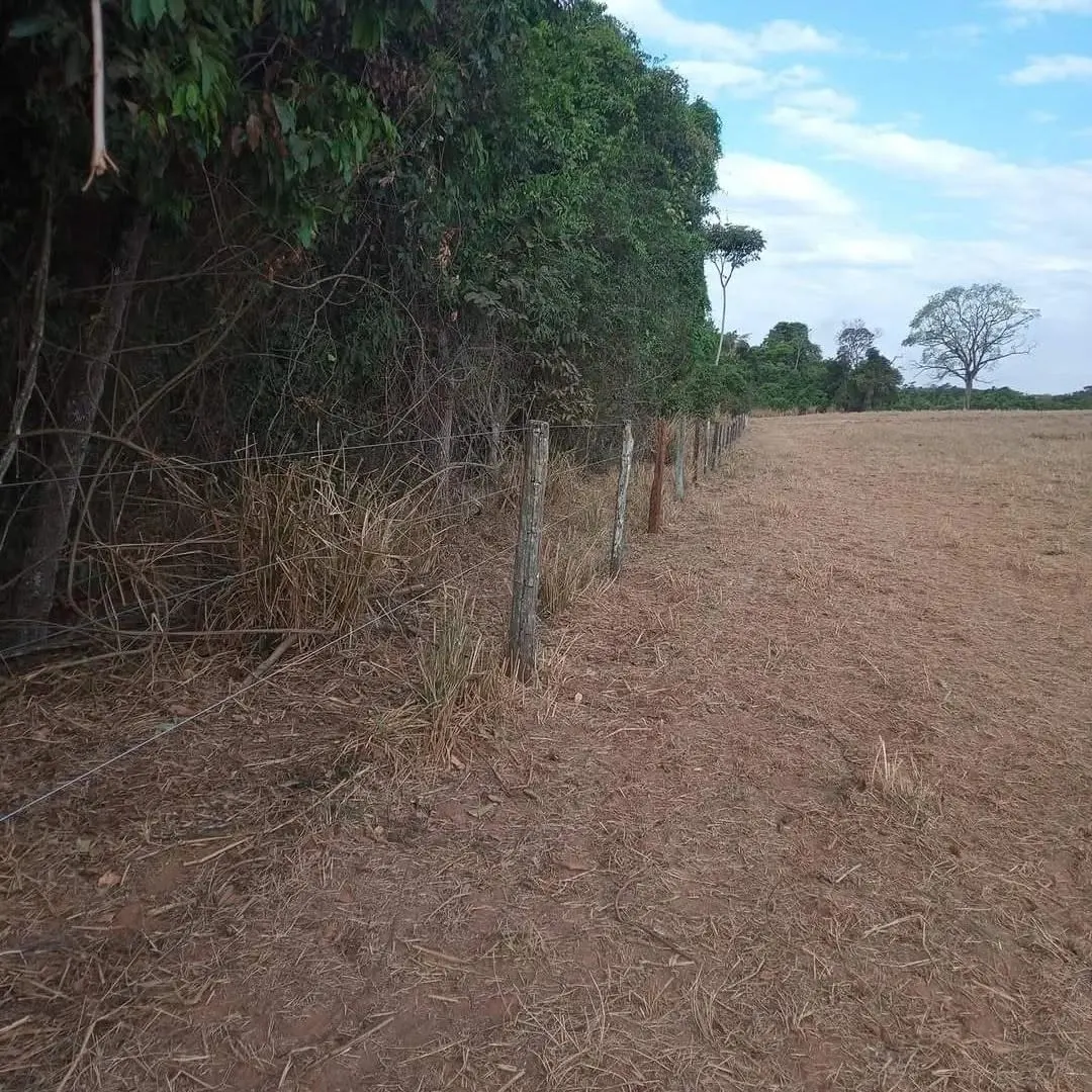 Construção de cerca de arame liso - foto 3