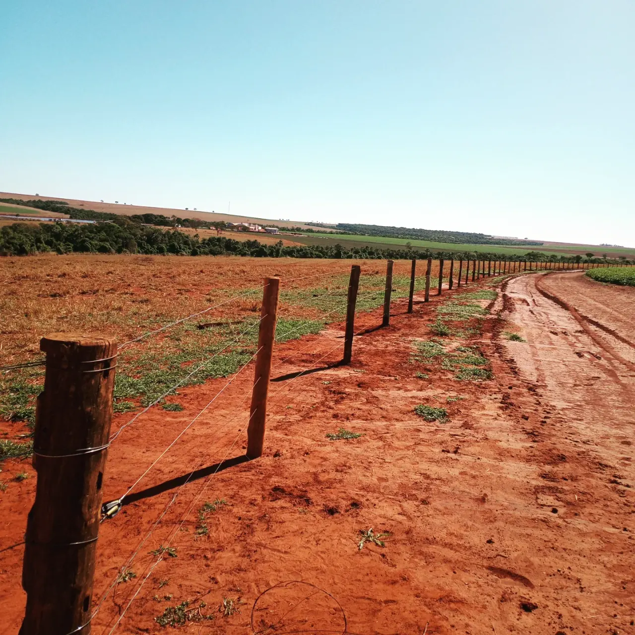 Construção de cerca de arame liso