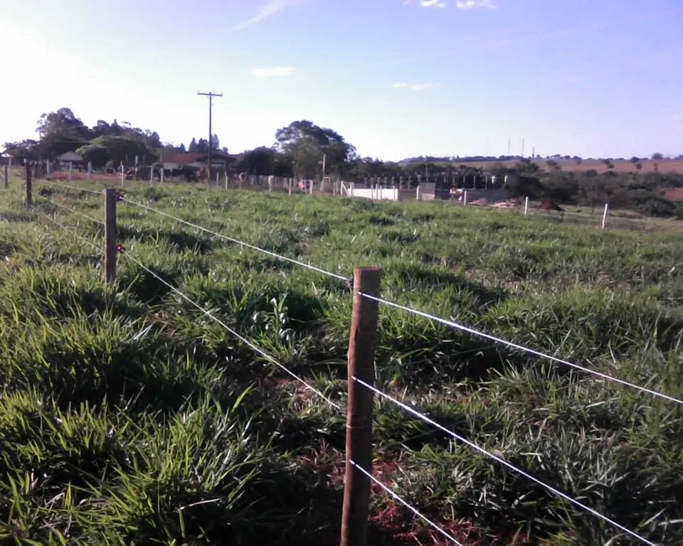 Instalação de cerca elétrica - foto 2