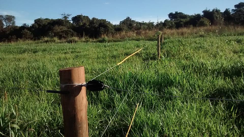 Instalação de cerca elétrica