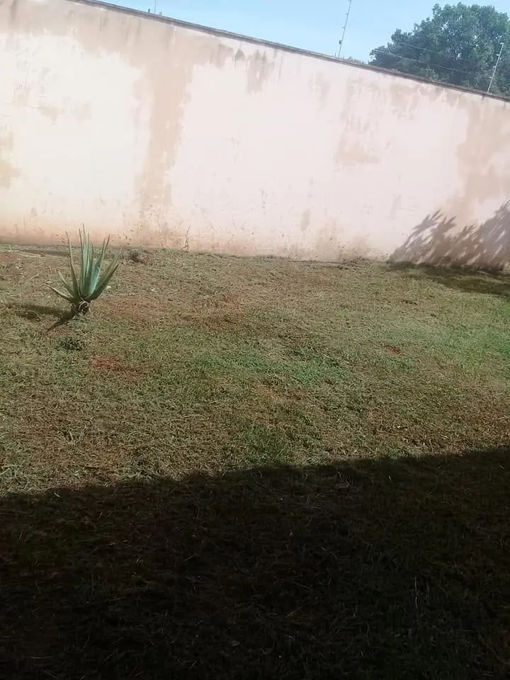 Poda de grama - foto 6