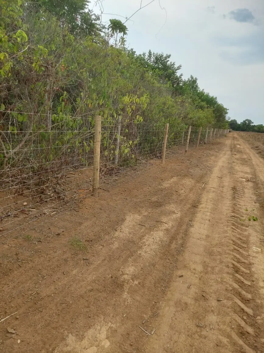 Instalação de tela JavaPorco - foto 4